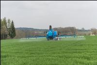 Wintergerste einkürzen 11