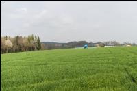 Wintergerste einkürzen 10