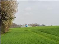 Wintergerste einkürzen 4
