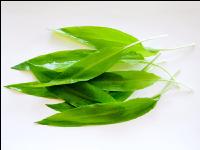 ramsons 18