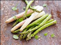 Spargel gemischt 2