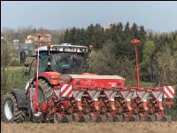 Mais Saat 371