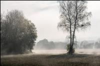 Nebelschwaden 30