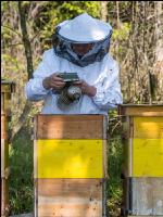 Smoker für Bienen 3