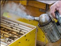 Smoker für Bienen 2
