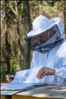 Bienenstock Aufzeichnungen 3