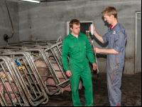 Schweinebesamung Vorbereitung 17