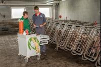 Schweinebesamung Vorbereitung 9