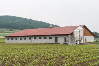 Zuchtschweinestall
