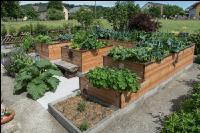 Bauerngarten Hochbeet 