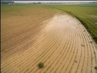 Hochwasser Mais 1