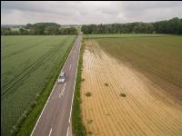 Hochwasser Mais 8