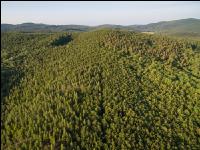 Wienerwald 