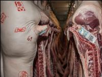Fleisch Kennzeichnung 7