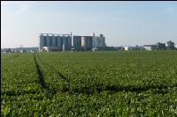 Getreidesilos 1