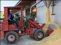 Maiskornsilage 35