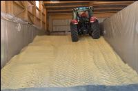 Maiskornsilage 28