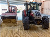 Maiskornsilage 24