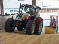 Maiskornsilage 22