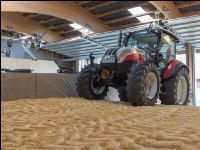Maiskornsilage 20