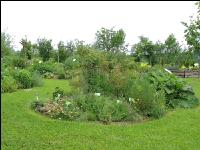 Kräutergarten 6