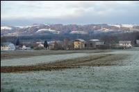 Mist auf frostige Wiese 22