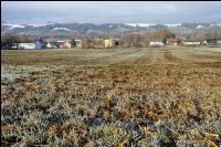 Mist auf frostige Wiese 20