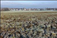 Mist auf frostige Wiese 19