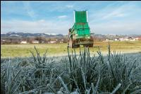Mist auf frostige Wiese 13