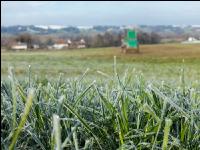 Mist auf frostige Wiese 10