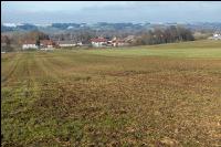 Mist auf frostige Wiese 2