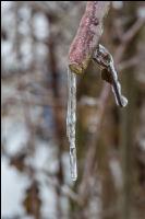 Eisregen 51