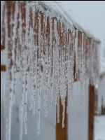 Eisregen 50