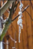 Eisregen 46