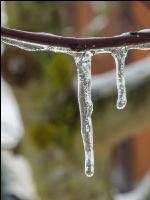 Eisregen 45