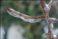 Eisregen 43