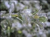 Eisregen 34