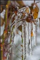 Eisregen 25
