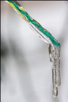 Eisregen 24