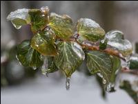 Eisregen 22