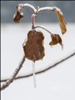 Eisregen 7