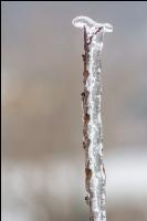 Eisregen 3
