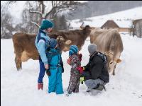 Junge Bauernfamilie 4