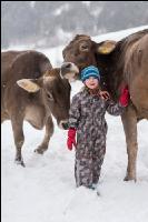 Kinder mit Braunviehkuh 3