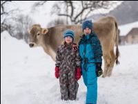 Kinder mit Braunviehkuh 1