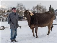 Landwirt und Braunviehkuh 2