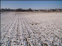 Dammkulturen Winterende 16