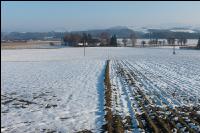 Getreide Dammanbau 6