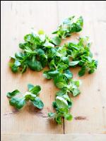 Feldsalat 2