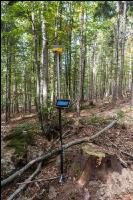 Wald vermessen 2
